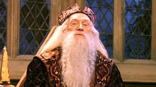 Dumbledore's Son Says No to Harry Potter TV Series Remake