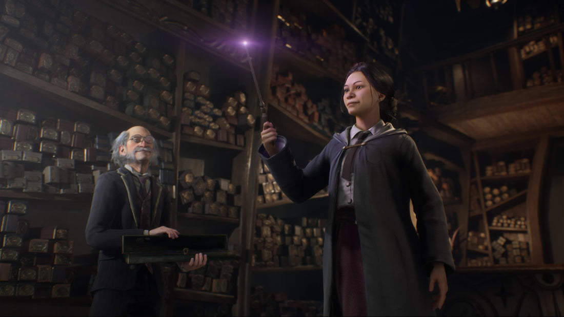 Warner Bros. prioritizes sequel to Harry Potter Hogwarts Legacy