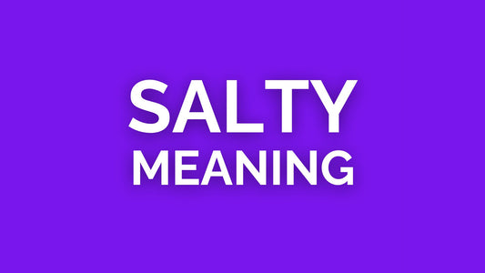 salty meaning