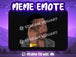Meme IQ Emote - StreamVisuArt